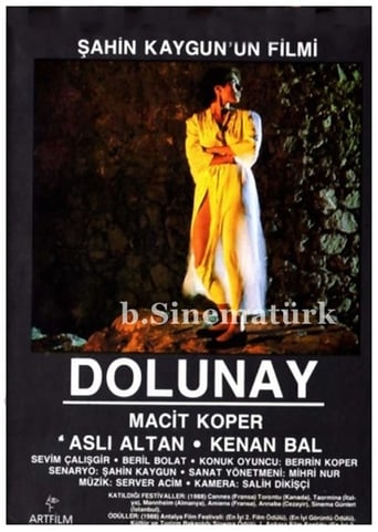 Poster för Dolunay