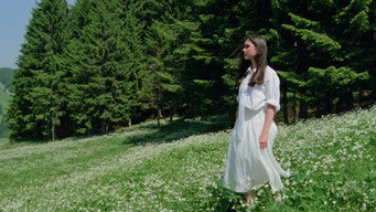#52 Феномен