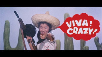 Mexican Free-for-All (1968)