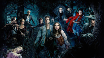 Galeria 3 - Into the Woods