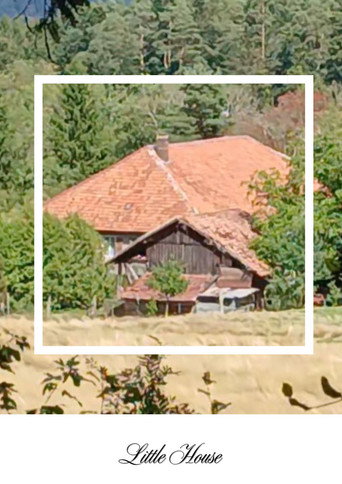 Poster film Little House
