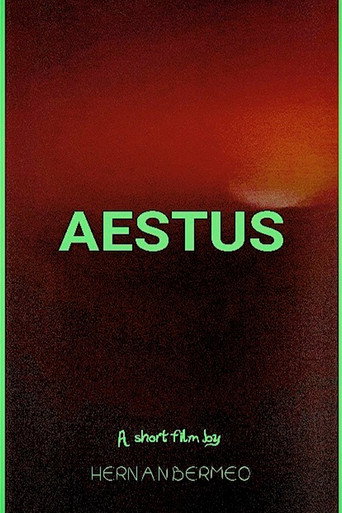 Aestus