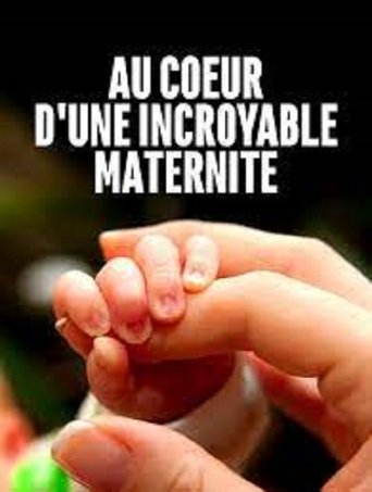 Au cœur d'une incroyable maternité