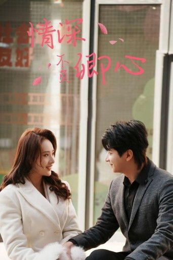 情深不负卿心 poster