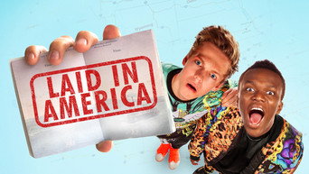 Laid in America (2016)