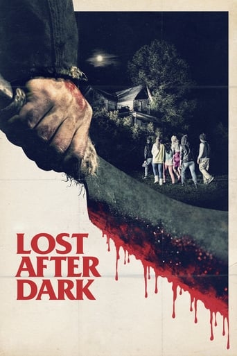 Poster of Lost After Dark