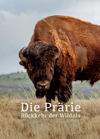 The Prairie; Return of the Wild