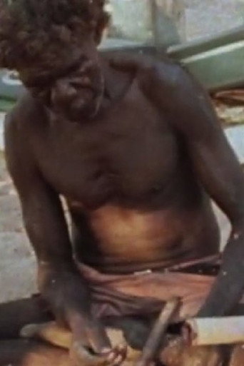 Narritjin at Djarrakpi (1981)