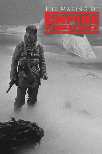 Poster 3