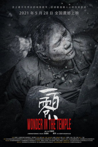 Wonder in the Temple poster