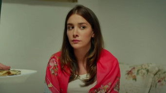 Episode 1 — Episode 1