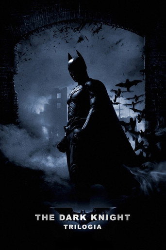 Batman - Il cavaliere oscuro - Collezione