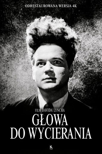 Głowa do wycierania