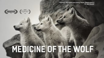 #1 Medicine of the Wolf