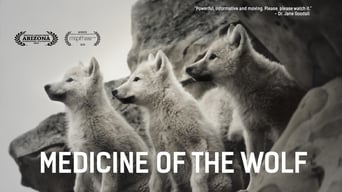 Medicine of the Wolf (2015)