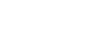 Nikki Says I Do logo