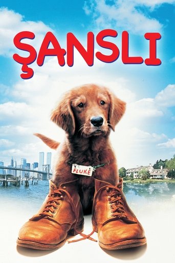 Şanslı