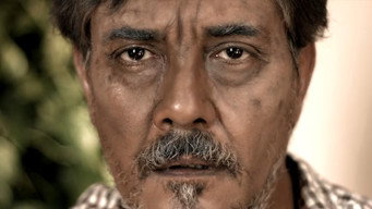 Otto media image