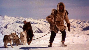 The Wild North (1952)