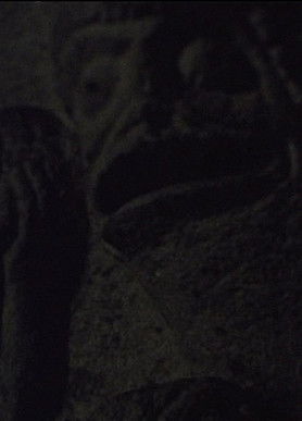 Forms Are Not Self-Subsistent Substances poster