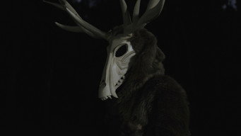 #8 Bestiary