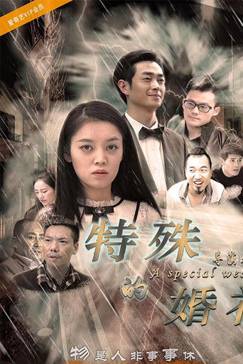 特殊的婚礼 poster