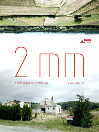 2mm (2024)