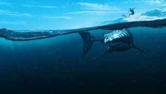 #10 When Sharks Attack 360