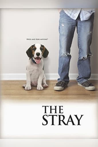 Poster för The Stray