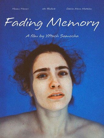 Fading Memory (2025)