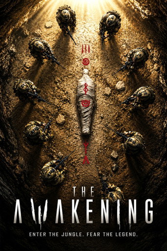 The Awakening poster