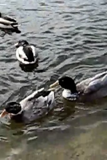 Donbas Odyssey poster