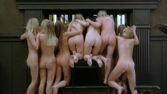 #15 Immoral Tales