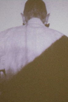 Wolf-Passerelle II/06 (2006)