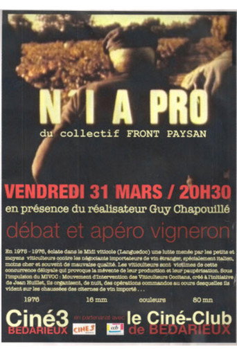N'i a pro — Pôsteres 2