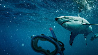 #4 Saved from a Shark