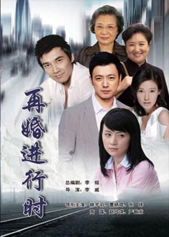 Poster of 再婚进行时