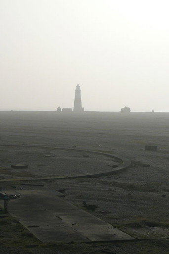 Cobra Mist (2008)