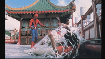 Spider-Man: The Dragon's Challenge (1979)