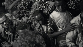 #11 Faya Dayi