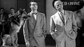 The Flaming Urge (1953)