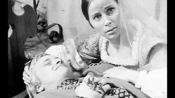 第12話：The Byzantine Cup II: The Healing