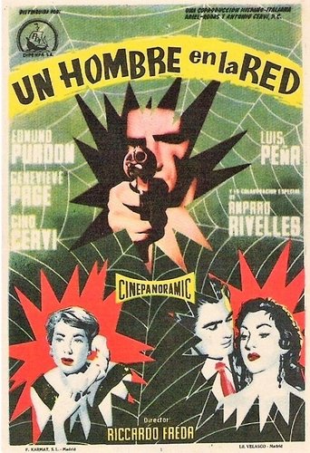 Poster of Un hombre en la red