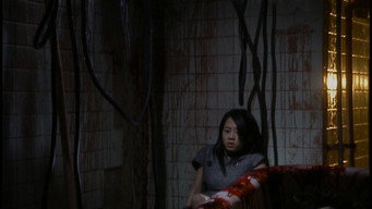 Подарунок (2005)