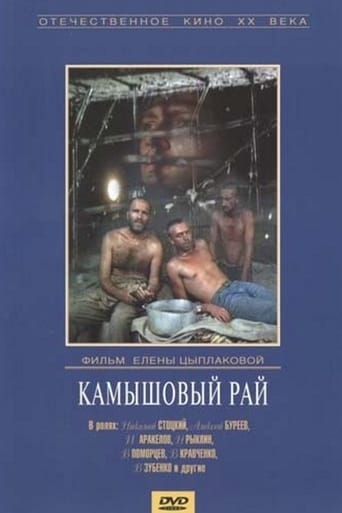 Poster of Камышовый рай