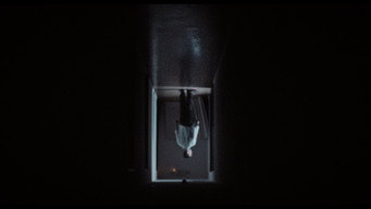 #41 Dracula: The Night Around Us