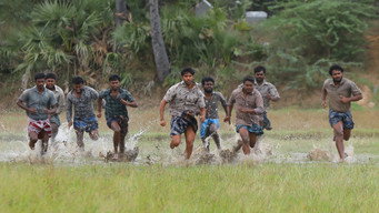 #11 Bison Kaalamaadan