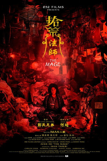 Cartell de 拾荒法師