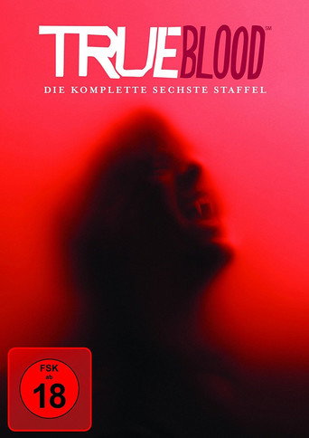 Staffel 6