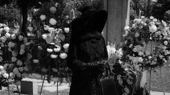 #7 Dead Ringer